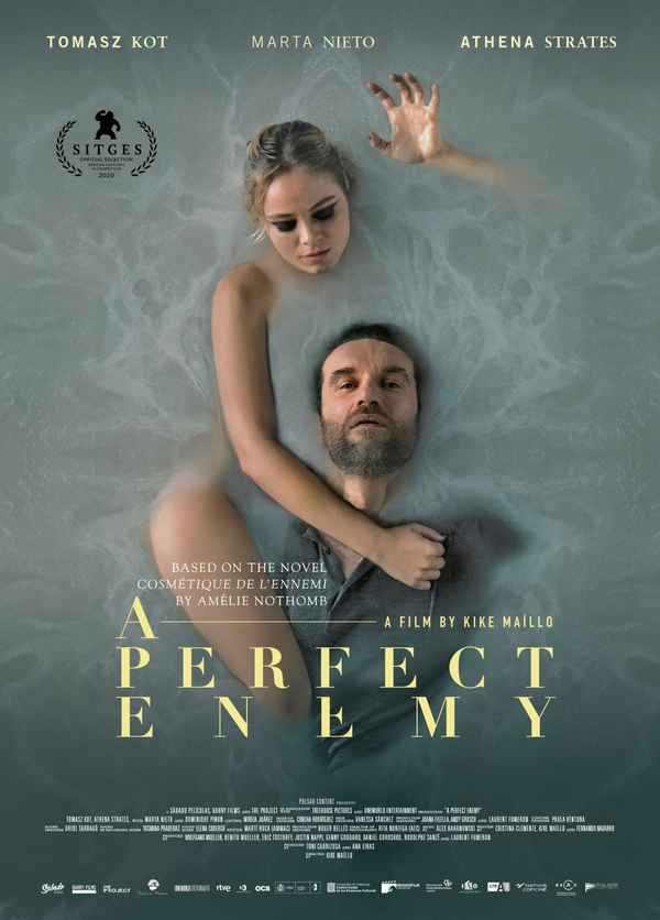 A Perfect Enemy Poster 4
