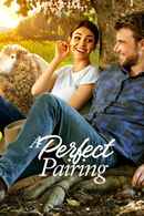 A Perfect Pairing Poster 5
