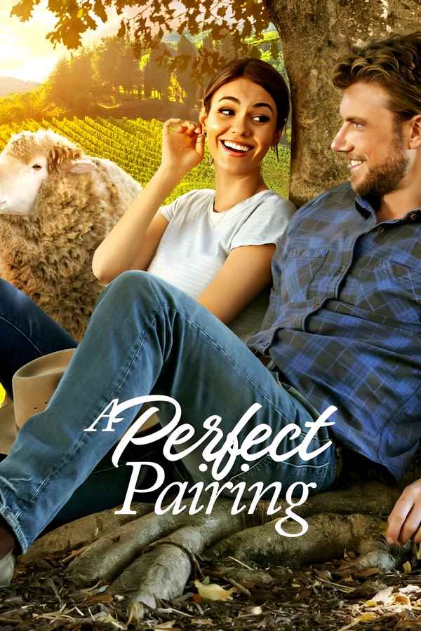 A Perfect Pairing Poster 5