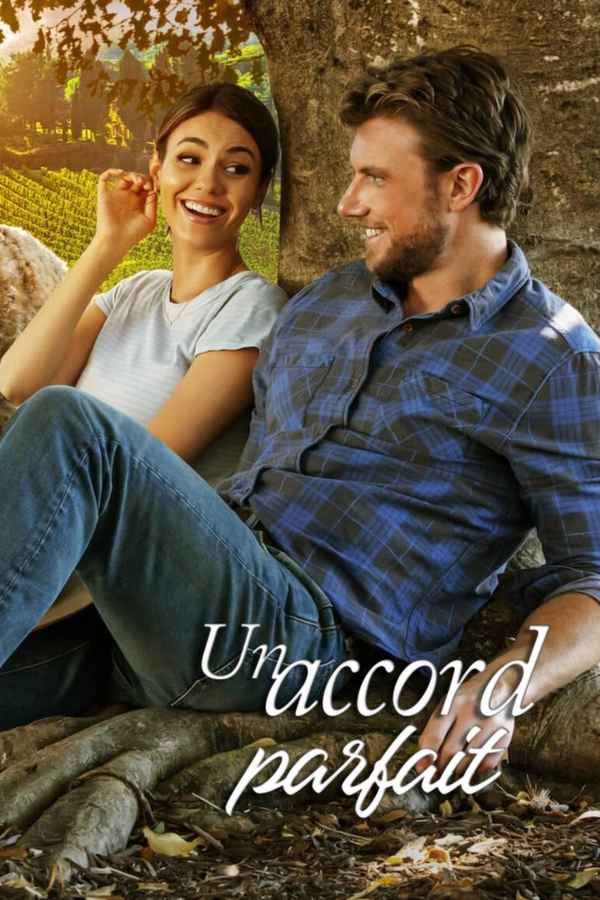 A Perfect Pairing Poster 4