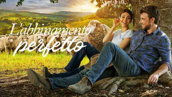 A Perfect Pairing Poster 2