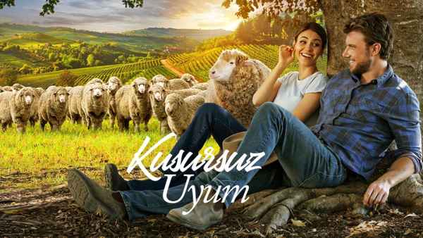 A Perfect Pairing Poster 3