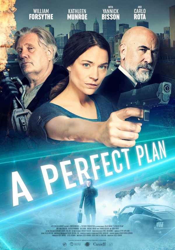 A Perfect Plan Poster 7