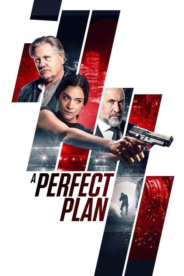A Perfect Plan Poster 6