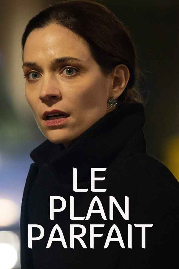 A Perfect Plan Poster 5