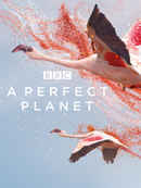 A Perfect Planet Poster 4