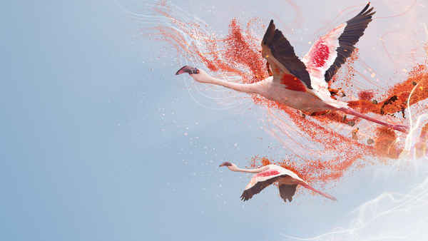 A Perfect Planet Poster 1