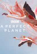A Perfect Planet Poster 6