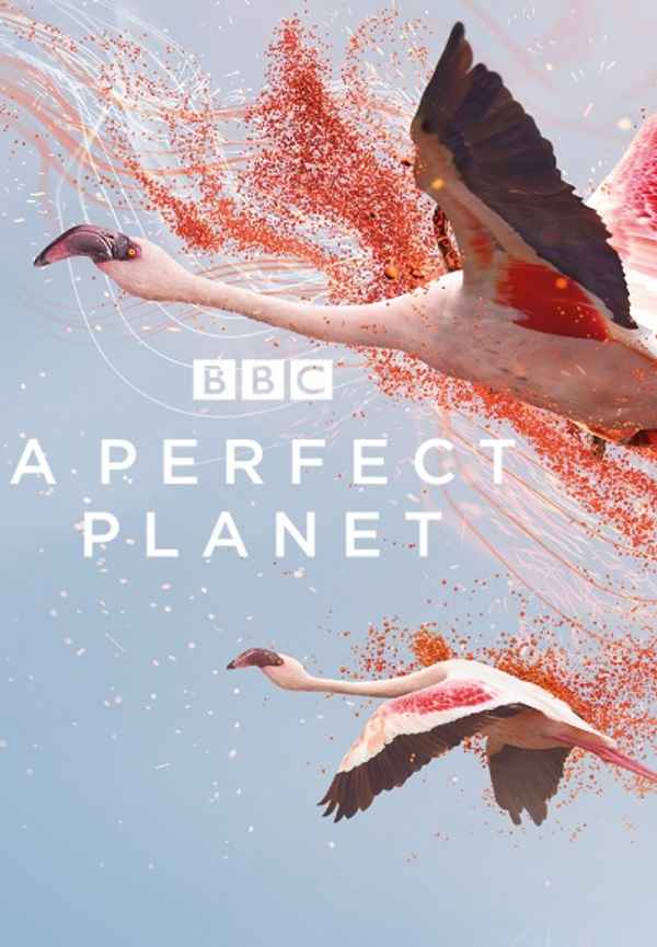 A Perfect Planet Poster 6