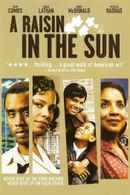 A Raisin in the Sun Poster 3