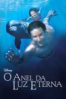 A Ring of Endless Light Poster 4