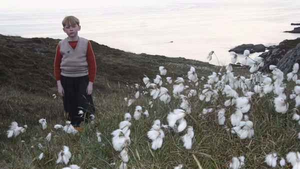 A Shine of Rainbows Poster 1