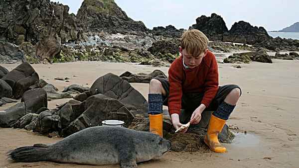 A Shine of Rainbows Poster 3