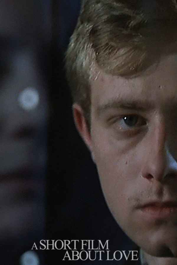 A Short Film About Love Poster 2