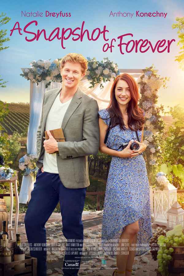 A Snapshot of Forever Poster 4
