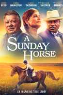 A Sunday Horse Poster 5