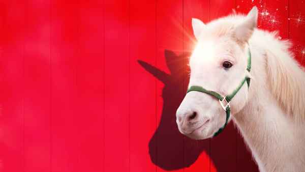 A Unicorn for Christmas Poster 7