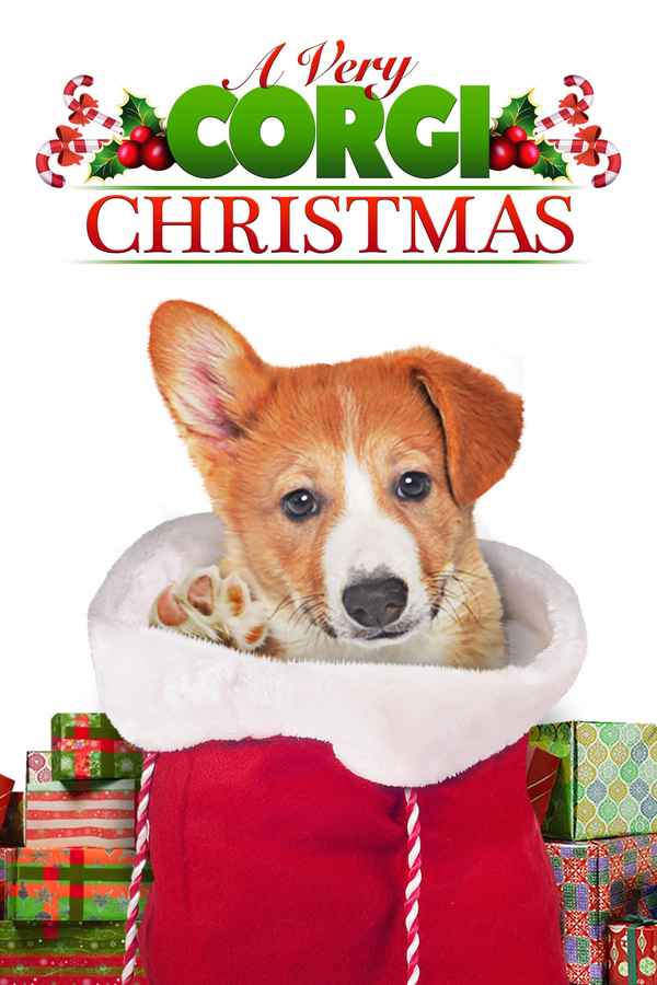 A Very Corgi Christmas Poster 6