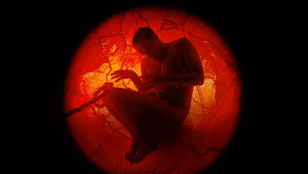 A Whole Lifetime with Jamie Demetriou Poster 3