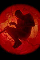 A Whole Lifetime with Jamie Demetriou Poster 6