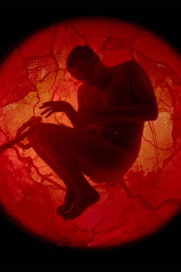 A Whole Lifetime with Jamie Demetriou Poster 6