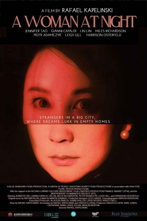 A Woman At Night Poster 1