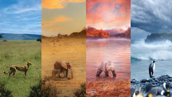 A Year On Planet Earth Poster 2