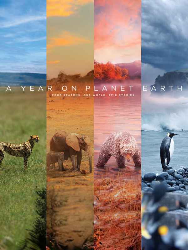 A Year On Planet Earth Poster 4