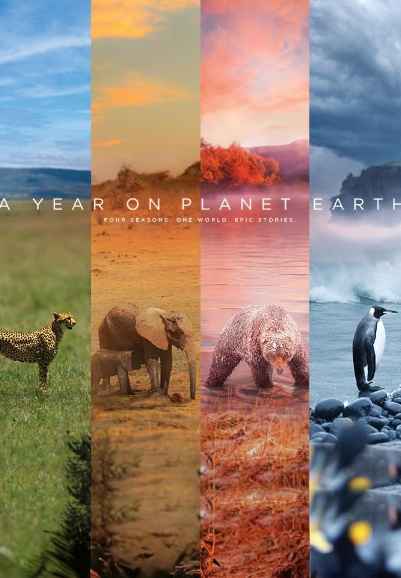 A Year On Planet Earth