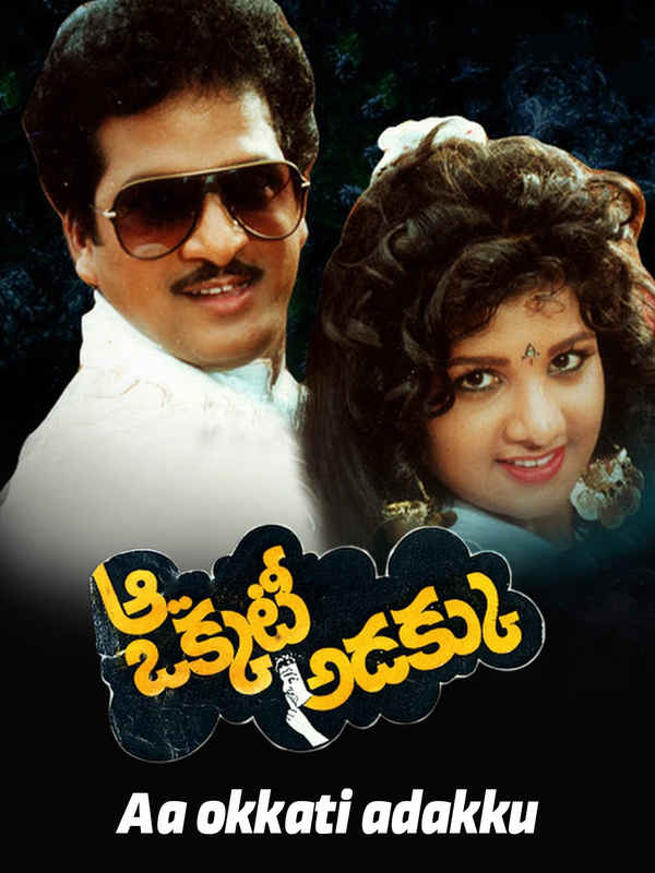 Aa Okkati Adakku Poster 5