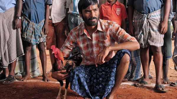 Aadukalam Poster 1