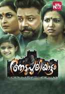 Aadupuliyattam Poster 4