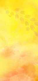 Aani Kay Hava Poster 2