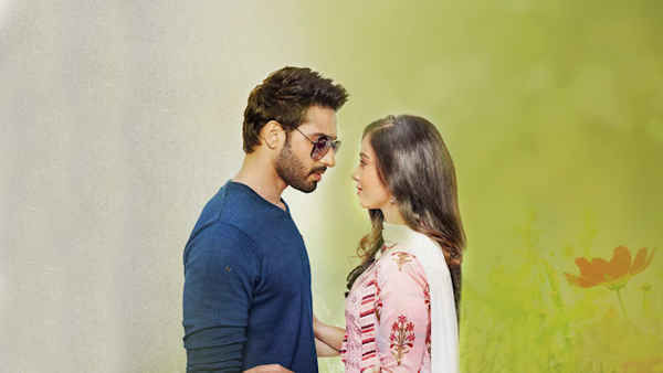 Aapki Nazron Ne Samjha Poster 5