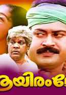 Aayiram Meni Poster 2