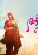 Abhiyum Njanum Poster 5