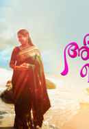 Abhiyum Njanum Poster 6