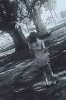 Absence of Color. Poster 7