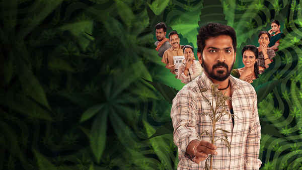 Accidental Farmer&CO Poster 6