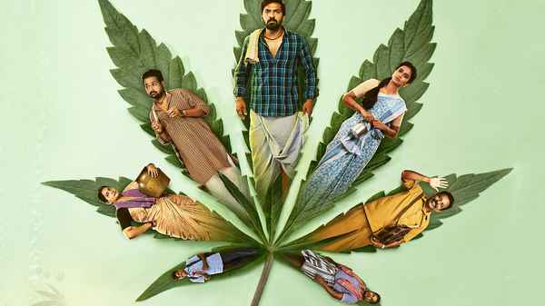 Accidental Farmer&CO Poster 1