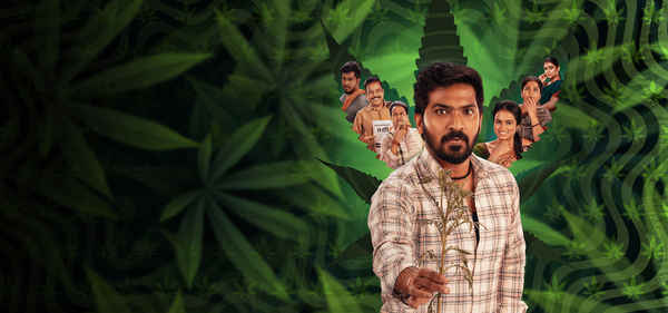 Accidental Farmer&CO Poster 4