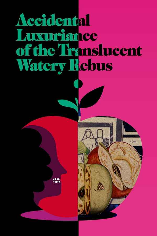 Accidental Luxuriance of the Translucent Watery Rebus Poster 6