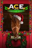 Ace & the Christmas Miracle Poster 2