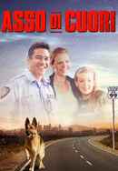 Ace of Hearts Poster 4