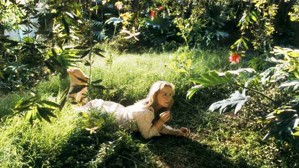 Adaptation. Poster 4