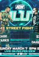 AEW Revolution Poster 6