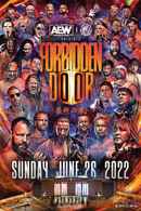 AEW x NJPW: Forbidden Door Poster 4