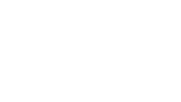 Afghanistan: The Lion's Last Roar Poster 1