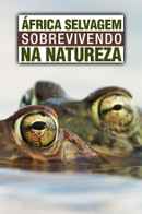 Africa's Wild Side Poster 2