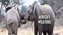 Africa's Wild Side Poster 6